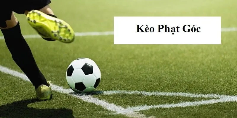 Soi kèo phạt góc sẽ tăng cơ hội chiến thắng cho bet thủ