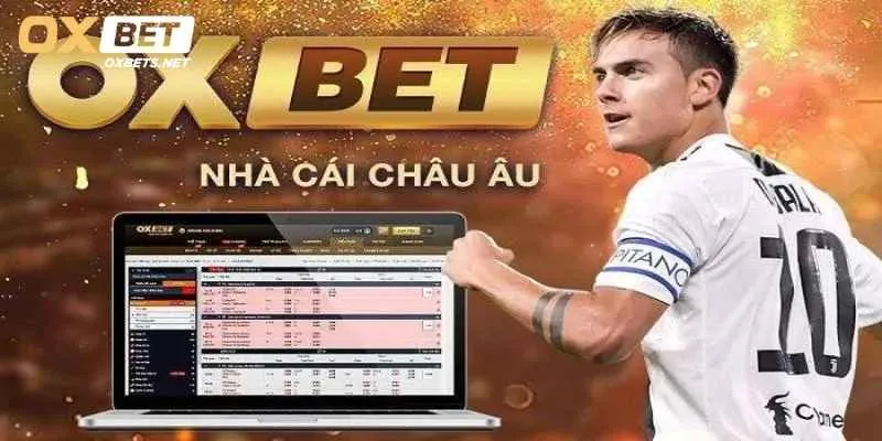 Oxbet hiện đại và uy tín