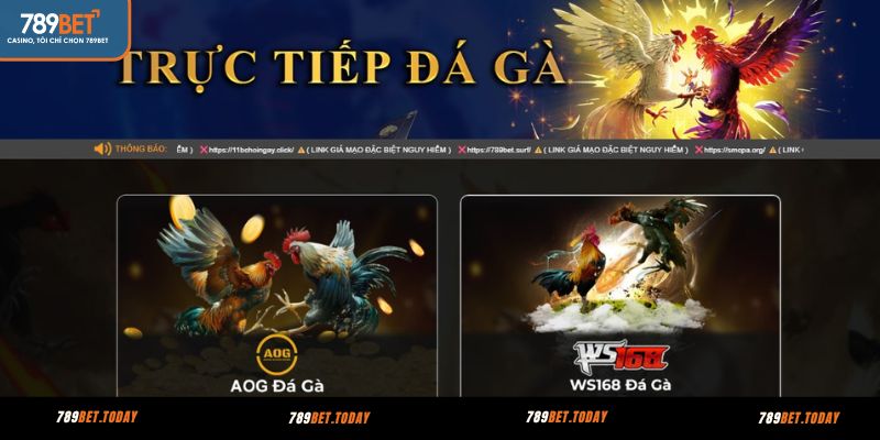 Các sảnh cược đá gà tại 789BET