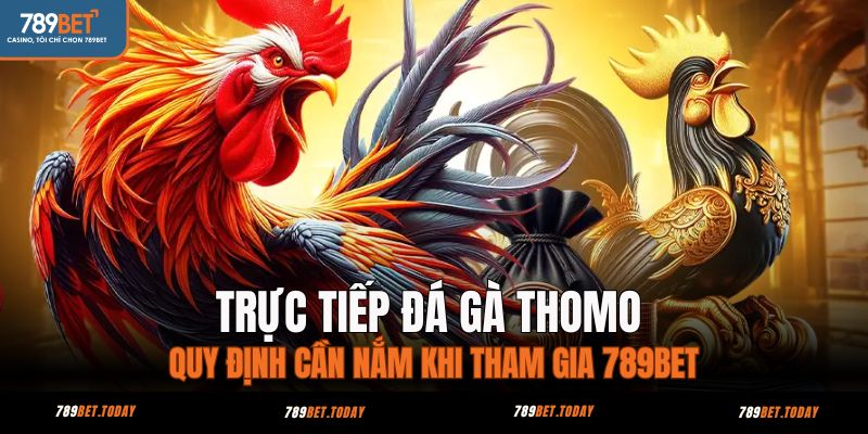 trực tiếp đá gà thomo